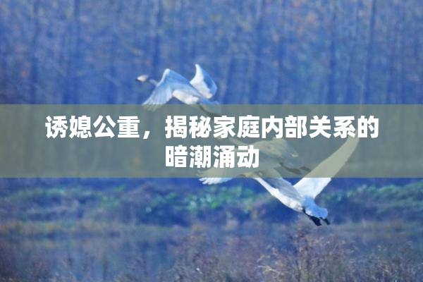 诱媳公重，揭秘家庭内部关系的暗潮涌动