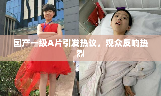 国产一级A片引发热议，观众反响热烈