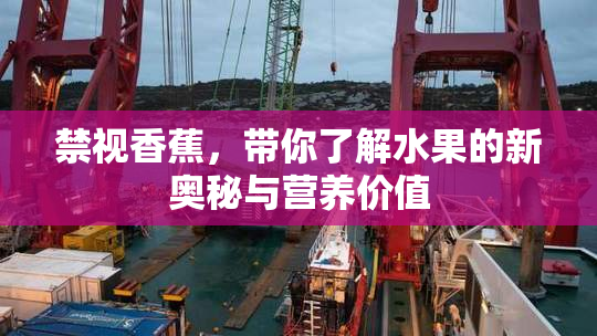禁视香蕉，带你了解水果的新奥秘与营养价值