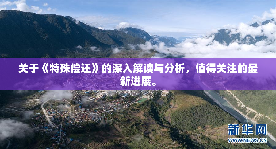 关于《特殊偿还》的深入解读与分析，值得关注的最新进展。