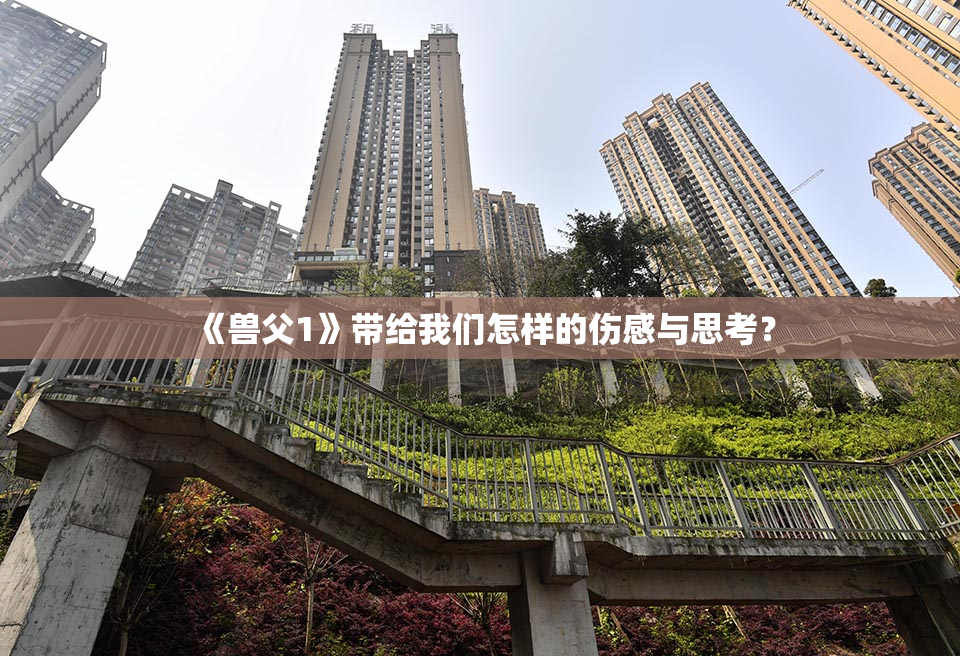 《兽父1》带给我们怎样的伤感与思考？