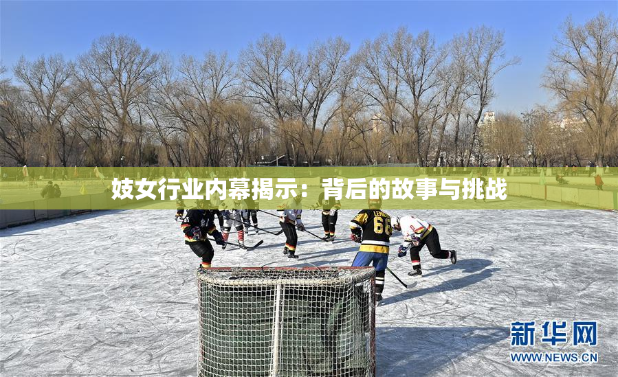 妓女行业内幕揭示：背后的故事与挑战