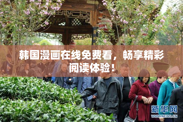 韩国漫画在线免费看，畅享精彩阅读体验！