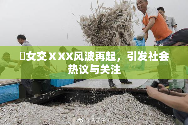 乣女交ⅩXX风波再起，引发社会热议与关注