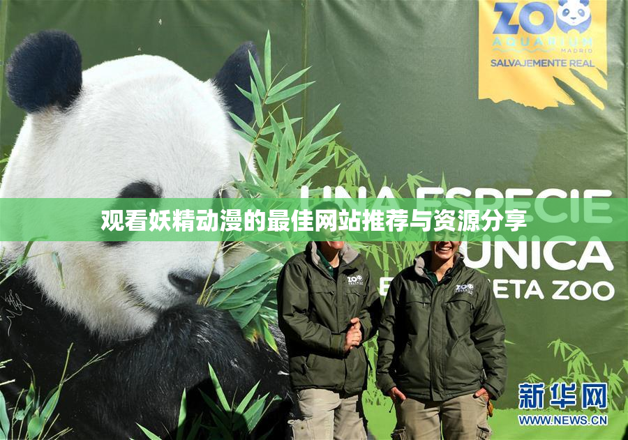 观看妖精动漫的最佳网站推荐与资源分享