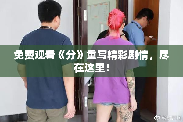 免费观看《分》重写精彩剧情，尽在这里！