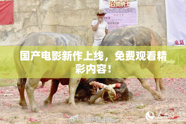 国产电影新作上线，免费观看精彩内容！