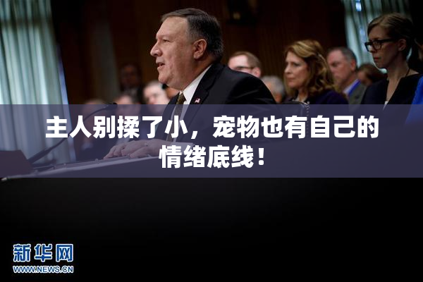 主人别揉了小，宠物也有自己的情绪底线！