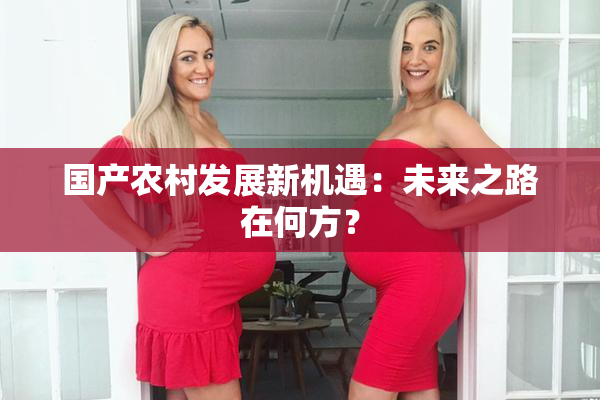 国产农村发展新机遇：未来之路在何方？