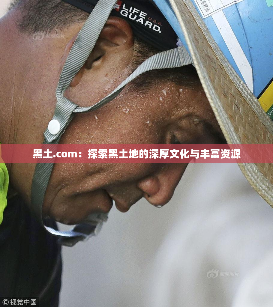 黑土.com：探索黑土地的深厚文化与丰富资源