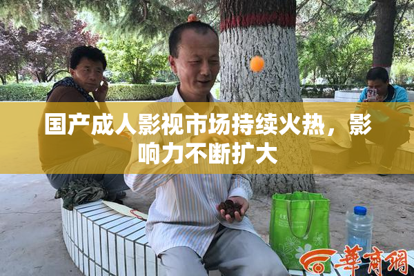 国产成人影视市场持续火热，影响力不断扩大