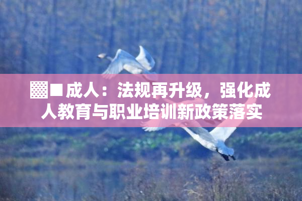 ▓■成人：法规再升级，强化成人教育与职业培训新政策落实