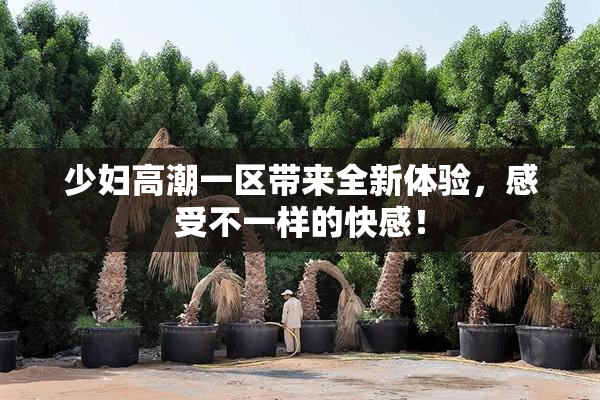 少妇高潮一区带来全新体验，感受不一样的快感！