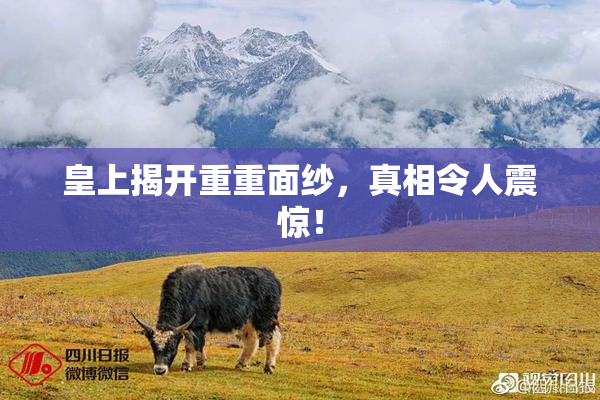 皇上揭开重重面纱，真相令人震惊！