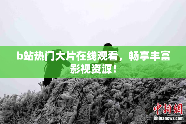b站热门大片在线观看，畅享丰富影视资源！