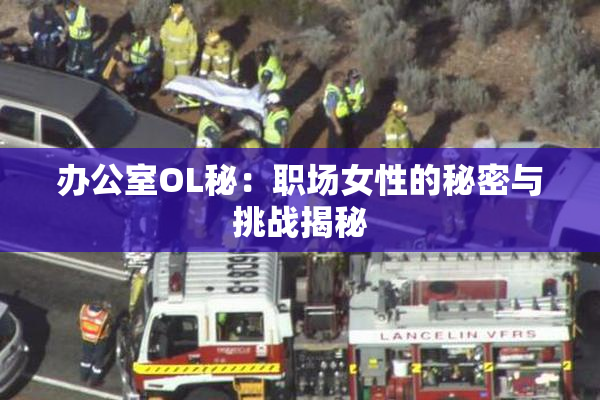 办公室OL秘：职场女性的秘密与挑战揭秘