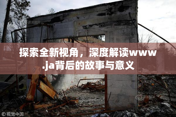 探索全新视角，深度解读www.ja背后的故事与意义
