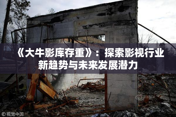 《大牛影库存重》：探索影视行业新趋势与未来发展潜力