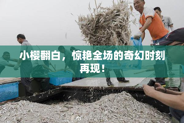 小樱翻白，惊艳全场的奇幻时刻再现！