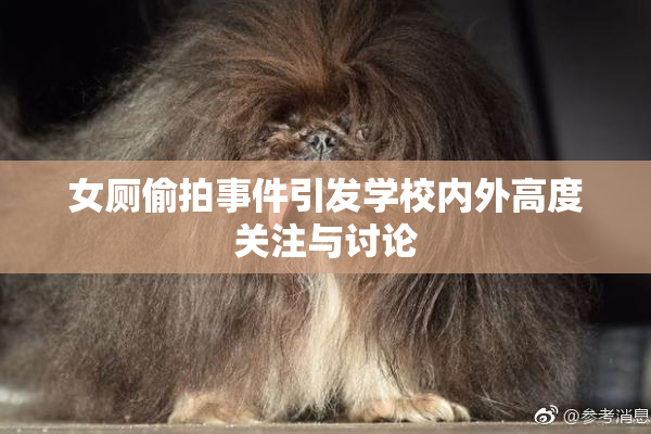 女厕偷拍事件引发学校内外高度关注与讨论