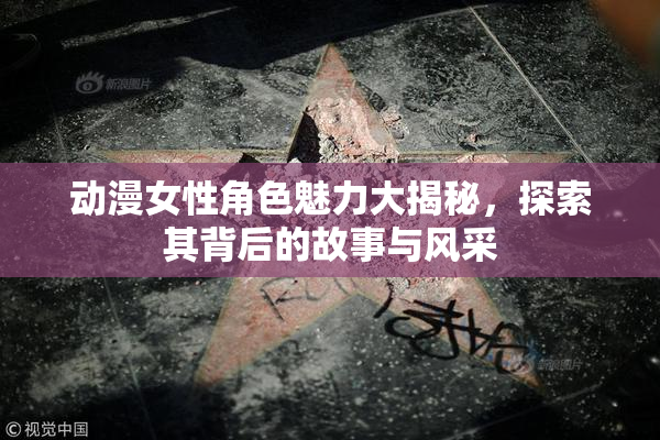 动漫女性角色魅力大揭秘，探索其背后的故事与风采