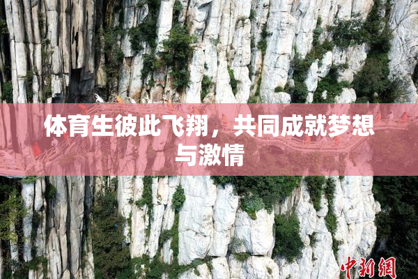 体育生彼此飞翔，共同成就梦想与激情