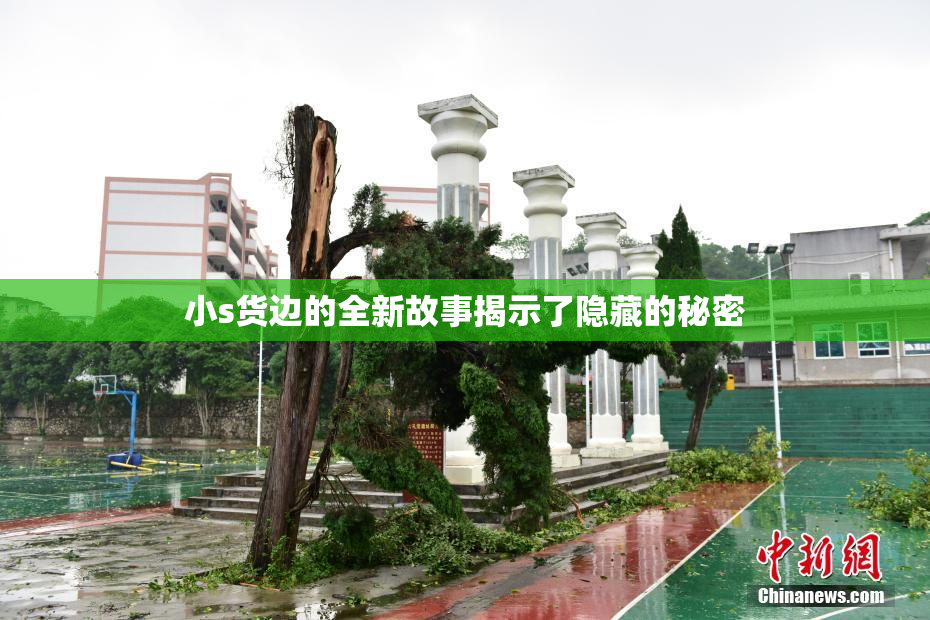 小s货边的全新故事揭示了隐藏的秘密
