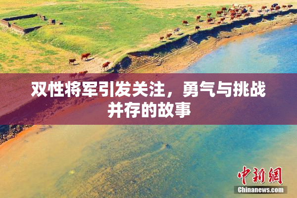 双性将军引发关注，勇气与挑战并存的故事