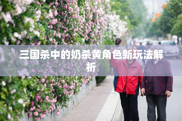 三国杀中的奶杀黄角色新玩法解析