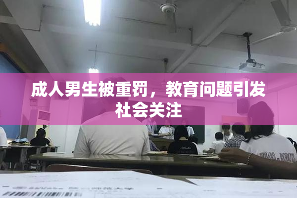 成人男生被重罚，教育问题引发社会关注