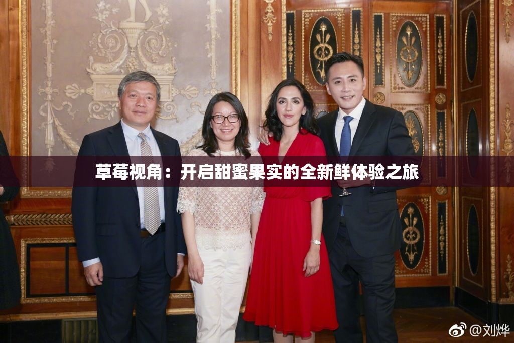 草莓视角：开启甜蜜果实的全新鲜体验之旅
