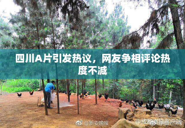 四川A片引发热议，网友争相评论热度不减