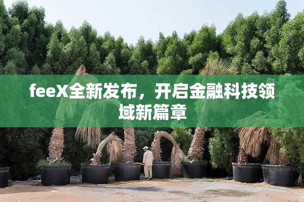 feeX全新发布，开启金融科技领域新篇章