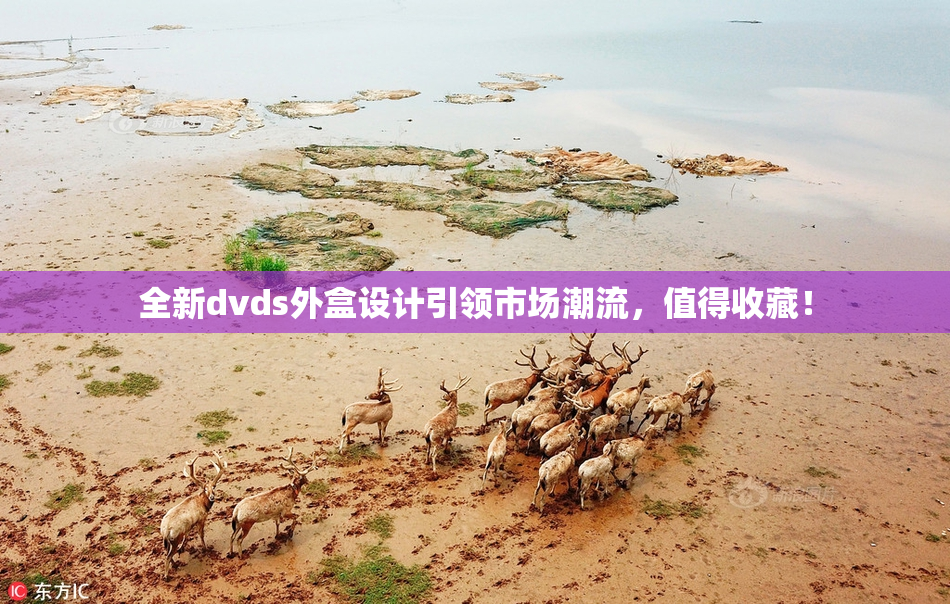 全新dvds外盒设计引领市场潮流，值得收藏！