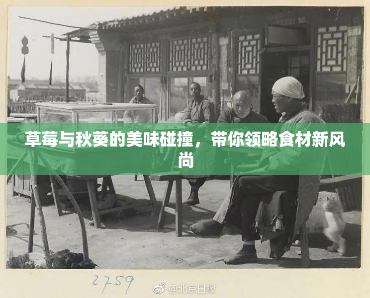草莓与秋葵的美味碰撞，带你领略食材新风尚