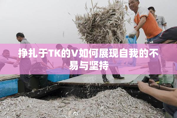 挣扎于TK的V如何展现自我的不易与坚持