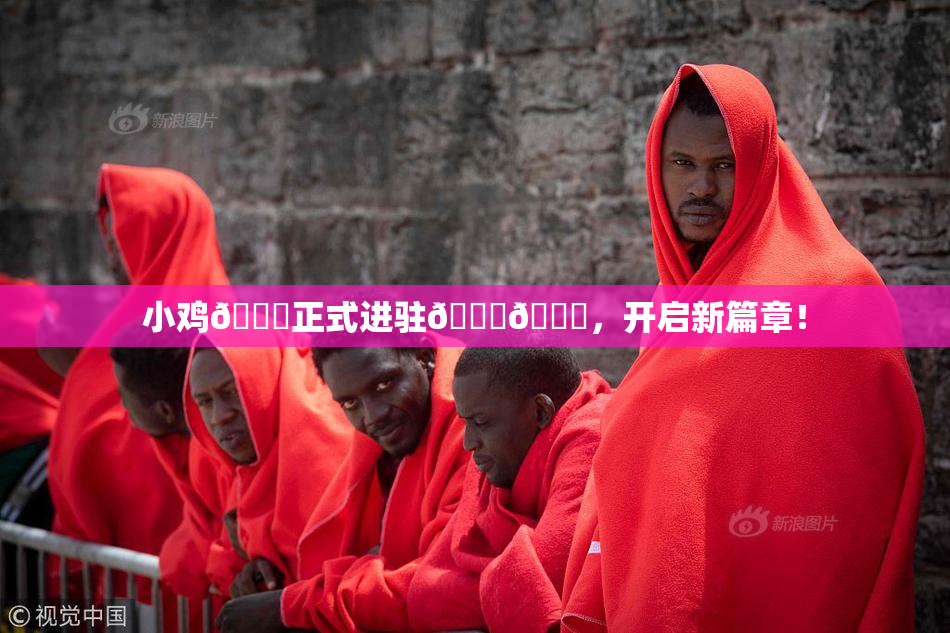 小鸡🐔正式进驻🍑🔞，开启新篇章！