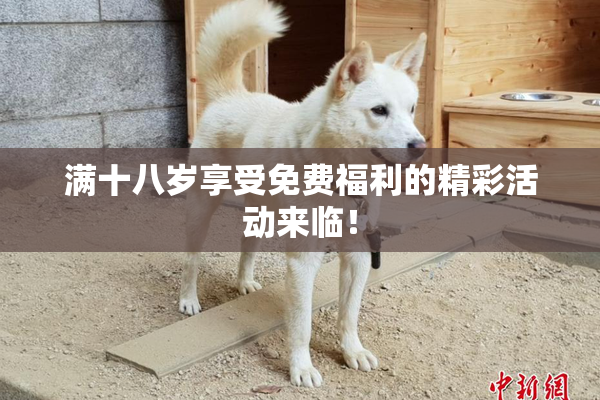 满十八岁享受免费福利的精彩活动来临！