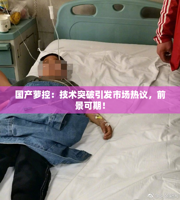 国产萝控：技术突破引发市场热议，前景可期！