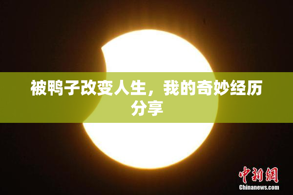 被鸭子改变人生，我的奇妙经历分享
