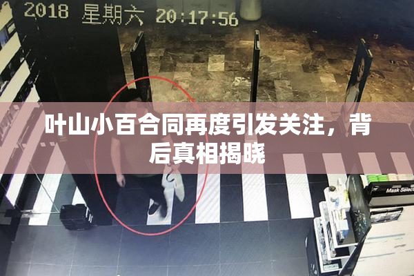 叶山小百合同再度引发关注，背后真相揭晓