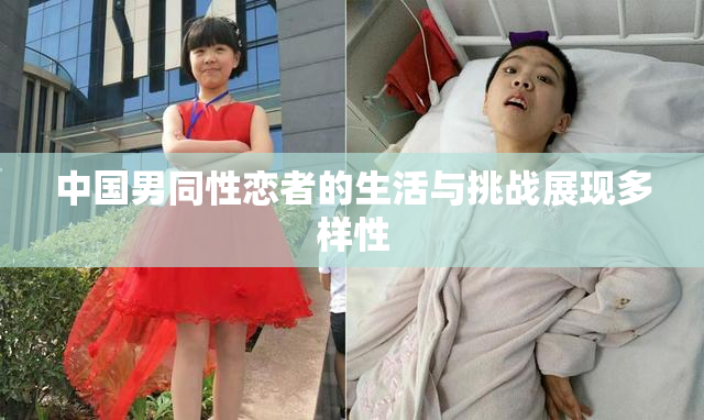 中国男同性恋者的生活与挑战展现多样性