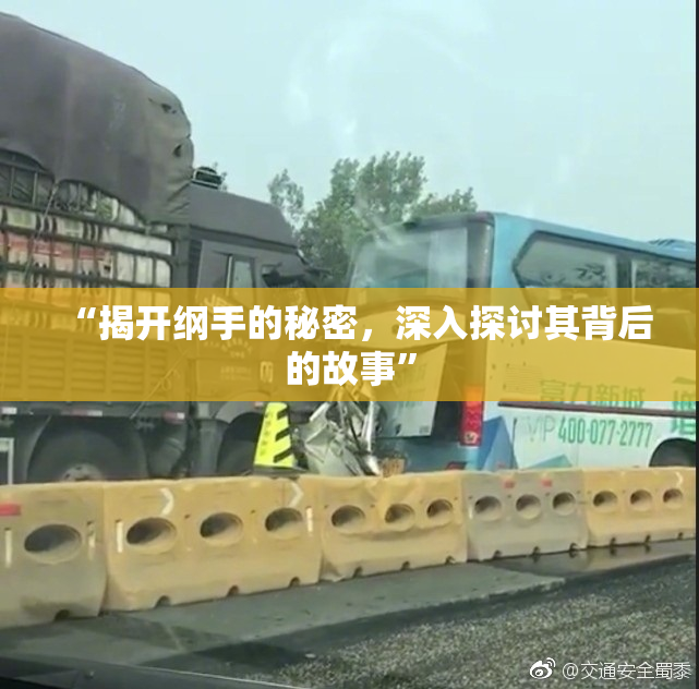 “揭开纲手的秘密，深入探讨其背后的故事”