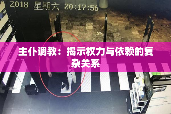 主仆调教：揭示权力与依赖的复杂关系