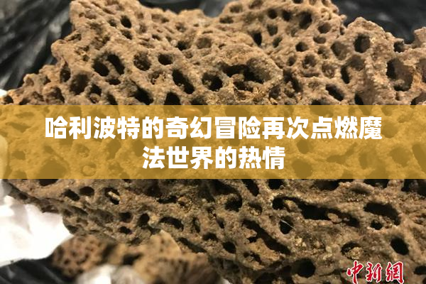哈利波特的奇幻冒险再次点燃魔法世界的热情