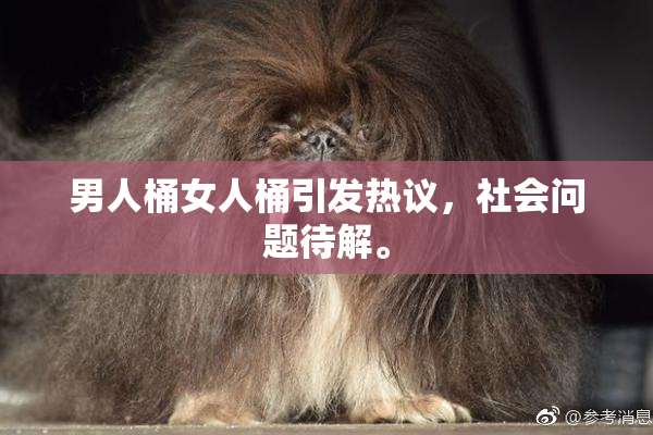 男人桶女人桶引发热议，社会问题待解。