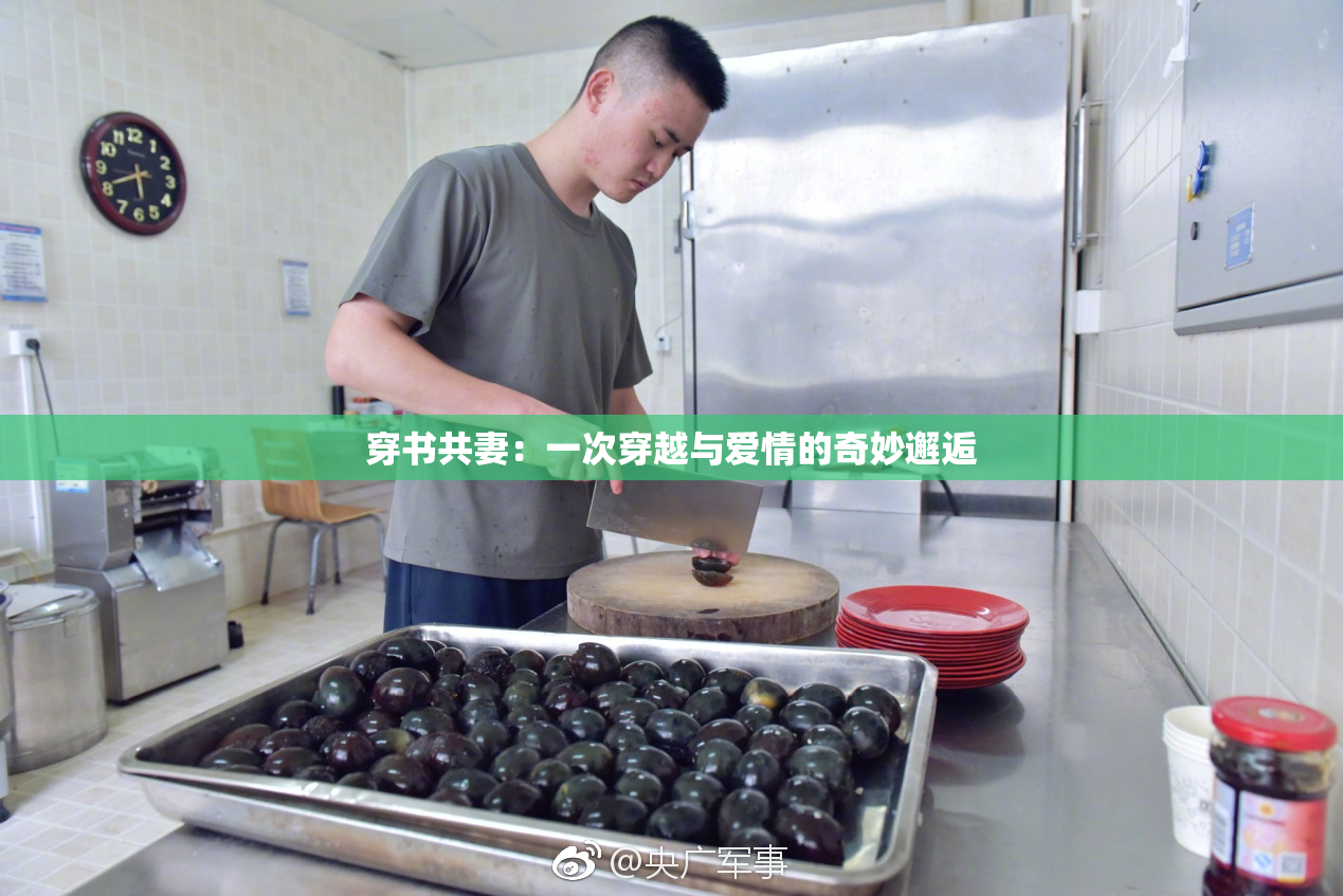 穿书共妻：一次穿越与爱情的奇妙邂逅