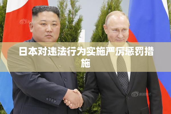 日本对违法行为实施严厉惩罚措施