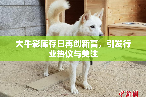 大牛影库存日再创新高，引发行业热议与关注