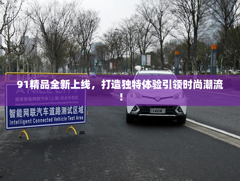 91精品全新上线，打造独特体验引领时尚潮流！